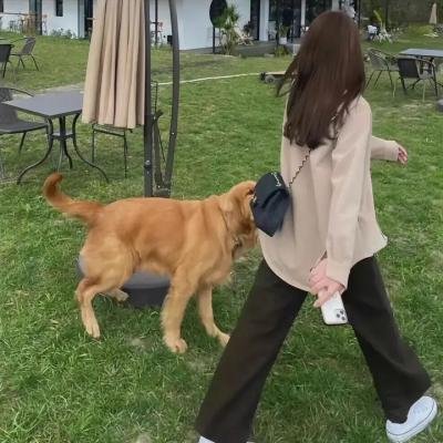 怪客